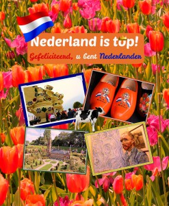 Verkleind - cover Nederland is top - definitief 01-2019